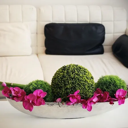 The Element Hotel 3*